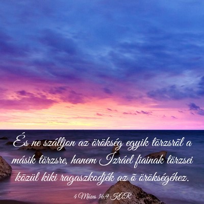 Picture 03 - 4 Mózes 36:9 KAR - És ne szálljon az örökség egyik törzsrõl a - Bible Verse Picture