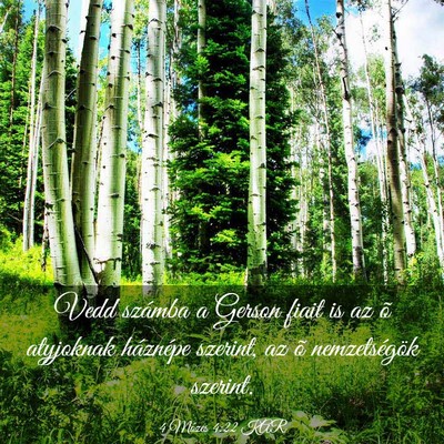 Picture 03 - 4 Mózes 4:22 KAR - Vedd számba a Gerson fiait is az õ atyjoknak - Bible Verse Picture