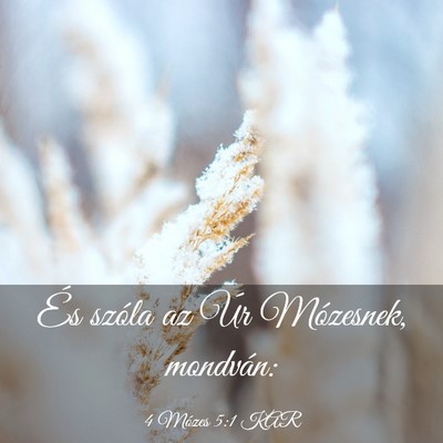 Picture 03 - 4 Mózes 5:1 KAR - És szóla az Úr Mózesnek, - Bible Verse Picture