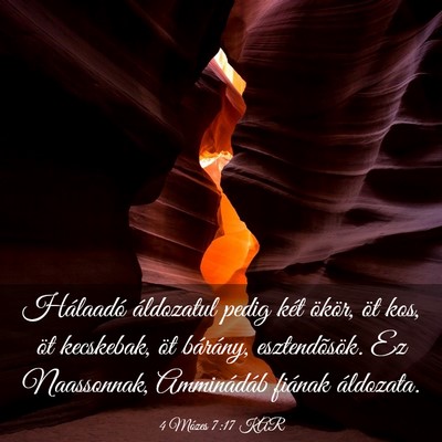 Picture 03 - 4 Mózes 7:17 KAR - Hálaadó áldozatul pedig két ökör, öt kos, - Bible Verse Picture
