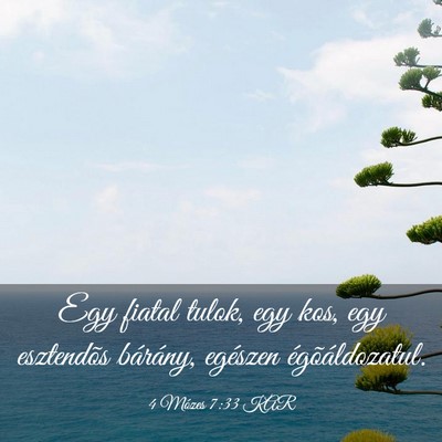 Picture 03 - 4 Mózes 7:33 KAR - Egy fiatal tulok, egy kos, egy esztendõs - Bible Verse Picture