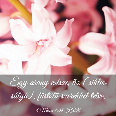 Picture 03 - 4 Mózes 7:38 KAR - Egy arany csésze, tíz [siklus súlyú], - Bible Verse Picture