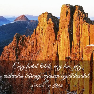 Picture 03 - 4 Mózes 7:39 KAR - Egy fiatal tulok, egy kos, egy esztendõs - Bible Verse Picture