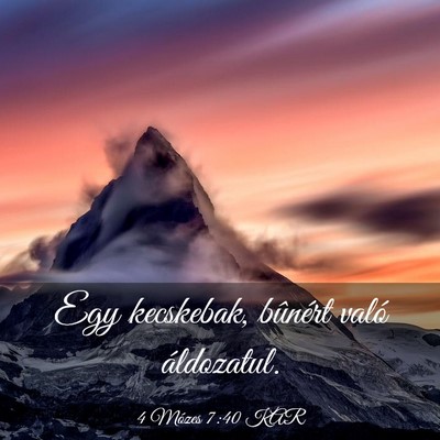 Picture 03 - 4 Mózes 7:40 KAR - Egy kecskebak, bûnért való - Bible Verse Picture