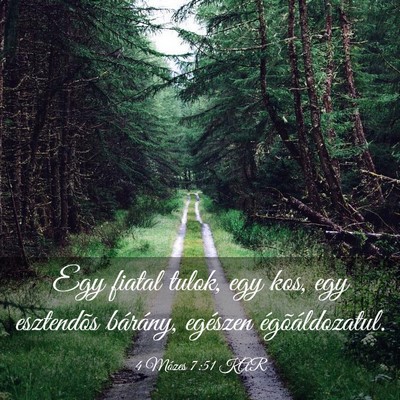 Picture 03 - 4 Mózes 7:51 KAR - Egy fiatal tulok, egy kos, egy esztendõs - Bible Verse Picture