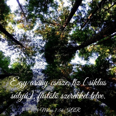 Picture 03 - 4 Mózes 7:56 KAR - Egy arany csésze, tíz [siklus súlyú], - Bible Verse Picture