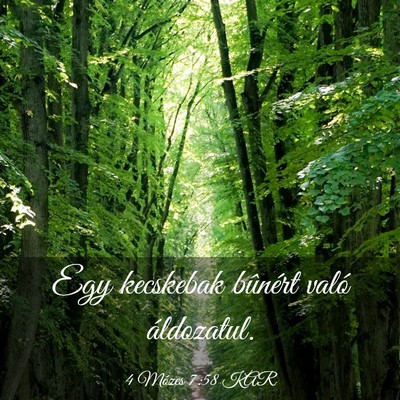 Picture 03 - 4 Mózes 7:58 KAR - Egy kecskebak bûnért való - Bible Verse Picture