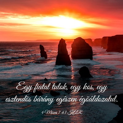 Picture 03 - 4 Mózes 7:63 KAR - Egy fiatal tulok, egy kos, egy esztendõs - Bible Verse Picture