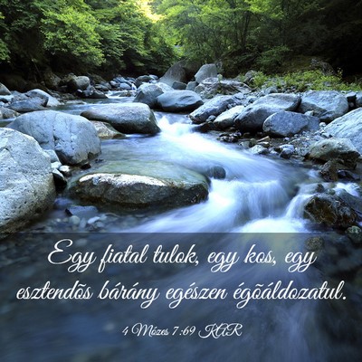 Picture 03 - 4 Mózes 7:69 KAR - Egy fiatal tulok, egy kos, egy esztendõs - Bible Verse Picture