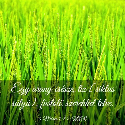 Picture 03 - 4 Mózes 7:74 KAR - Egy arany csésze, tíz [siklus súlyú], - Bible Verse Picture