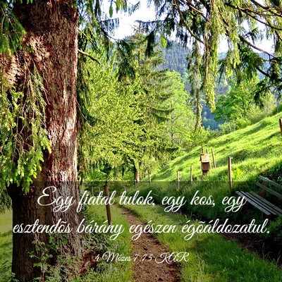 Picture 03 - 4 Mózes 7:75 KAR - Egy fiatal tulok, egy kos, egy esztendõs - Bible Verse Picture