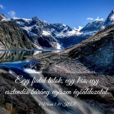 Picture 03 - 4 Mózes 7:81 KAR - Egy fiatal tulok, egy kos, egy esztendõs - Bible Verse Picture
