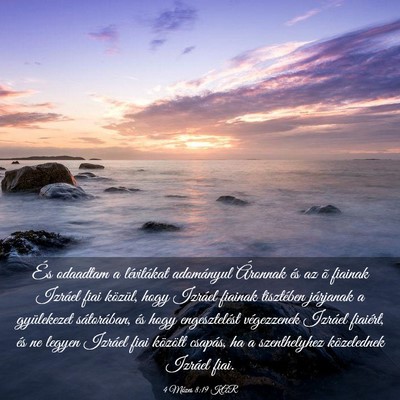 Picture 03 - 4 Mózes 8:19 KAR - És odaadtam a lévitákat adományul Áronnak - Bible Verse Picture
