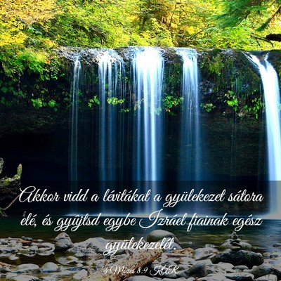 Picture 03 - 4 Mózes 8:9 KAR - Akkor vidd a lévitákat a gyülekezet sátora - Bible Verse Picture