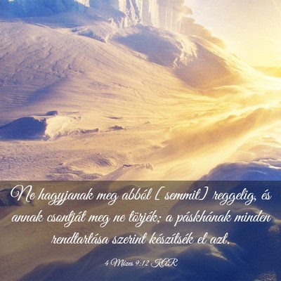Picture 03 - 4 Mózes 9:12 KAR - Ne hagyjanak meg abból [semmit] reggelig, és - Bible Verse Picture