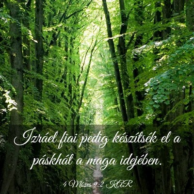 Picture 03 - 4 Mózes 9:2 KAR - Izráel fiai pedig készítsék el a páskhát a - Bible Verse Picture