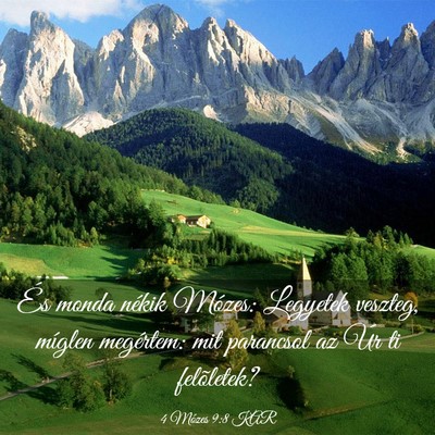 Picture 03 - 4 Mózes 9:8 KAR - És monda nékik Mózes: Legyetek veszteg, - Bible Verse Picture