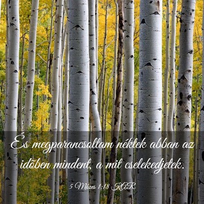 Picture 03 - 5 Mózes 1:18 KAR - És megparancsoltam néktek abban az idõben - Bible Verse Picture