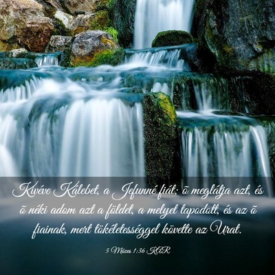 Picture 03 - 5 Mózes 1:36 KAR - Kivéve Kálebet, a Jefunné fiát; õ meglátja - Bible Verse Picture
