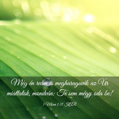 Picture 03 - 5 Mózes 1:37 KAR - Még én reám is megharaguvék az Úr miattatok, - Bible Verse Picture