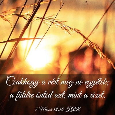 Picture 03 - 5 Mózes 12:16 KAR - Csakhogy a vért meg ne egyétek; a földre - Bible Verse Picture