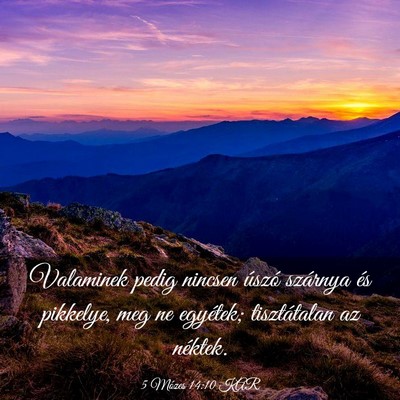 Picture 03 - 5 Mózes 14:10 KAR - Valaminek pedig nincsen úszó szárnya és - Bible Verse Picture