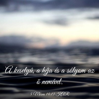 Picture 03 - 5 Mózes 14:13 KAR - A keselyû, a héja és a sólyom az õ - Bible Verse Picture