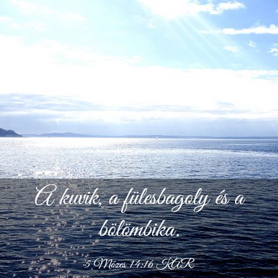 Picture 03 - 5 Mózes 14:16 KAR - A kuvik, a fülesbagoly és a - Bible Verse Picture