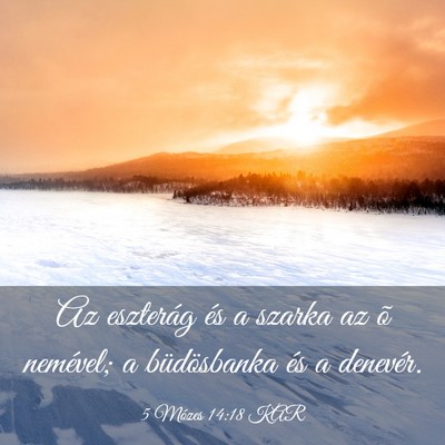 Picture 03 - 5 Mózes 14:18 KAR - Az eszterág és a szarka az õ nemével; a - Bible Verse Picture