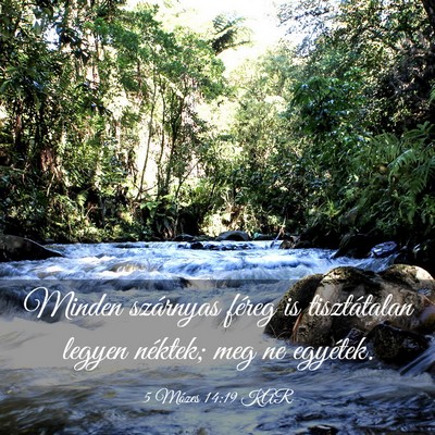 Picture 03 - 5 Mózes 14:19 KAR - Minden szárnyas féreg is tisztátalan legyen - Bible Verse Picture