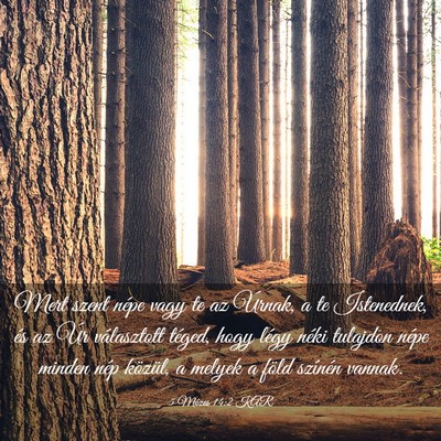 Picture 03 - 5 Mózes 14:2 KAR - Mert szent népe vagy te az Úrnak, a te - Bible Verse Picture