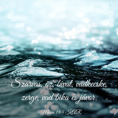 Picture 03 - 5 Mózes 14:5 KAR - Szarvas, õz, bival, vadkecske, zerge, vad bika - Bible Verse Picture