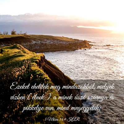 Picture 03 - 5 Mózes 14:9 KAR - Ezeket ehetitek meg mindazokból, melyek vízben - Bible Verse Picture