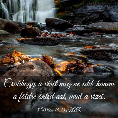 Picture 03 - 5 Mózes 15:23 KAR - Csakhogy a vérét meg ne edd, hanem a földre - Bible Verse Picture