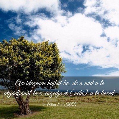 Picture 03 - 5 Mózes 15:3 KAR - Az idegenen hajtsd be; de a mid a te - Bible Verse Picture