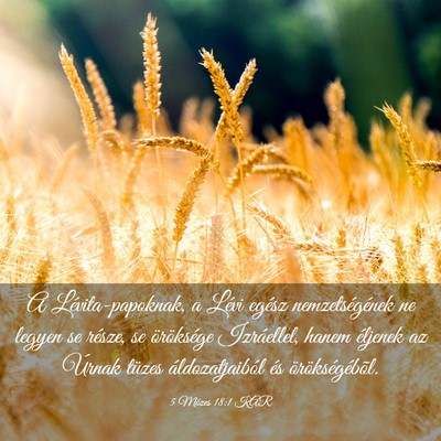 Picture 03 - 5 Mózes 18:1 KAR - A Lévita-papoknak, a Lévi egész - Bible Verse Picture