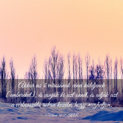 Picture 03 - 5 Mózes 19:12 KAR - Akkor az õ városának vénei küldjenek - Bible Verse Picture