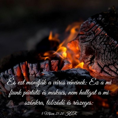 Picture 03 - 5 Mózes 21:20 KAR - És ezt mondják a város véneinek: Ez a mi - Bible Verse Picture