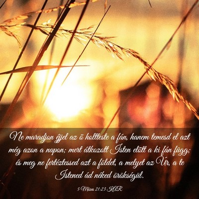 Picture 03 - 5 Mózes 21:23 KAR - Ne maradjon éjjel az õ holtteste a fán, hanem - Bible Verse Picture