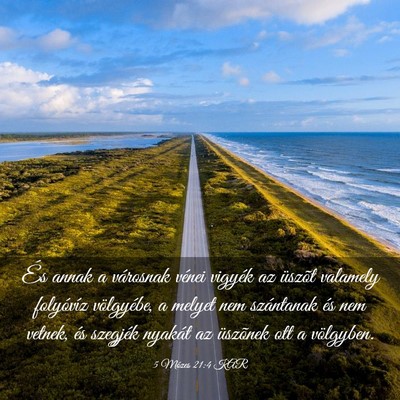 Picture 03 - 5 Mózes 21:4 KAR - És annak a városnak vénei vigyék az üszõt - Bible Verse Picture