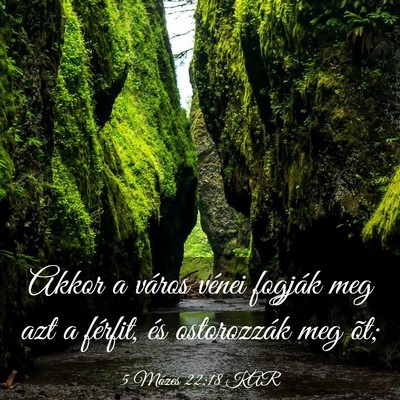 Picture 03 - 5 Mózes 22:18 KAR - Akkor a város vénei fogják meg azt a férfit, - Bible Verse Picture