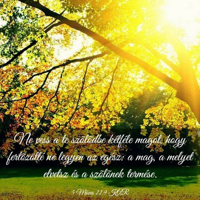 Picture 03 - 5 Mózes 22:9 KAR - Ne vess a te szõlõdbe kétféle magot, hogy - Bible Verse Picture