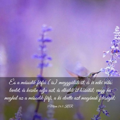 Picture 03 - 5 Mózes 24:3 KAR - És a második férfiú [is] meggyûlöli õt, - Bible Verse Picture