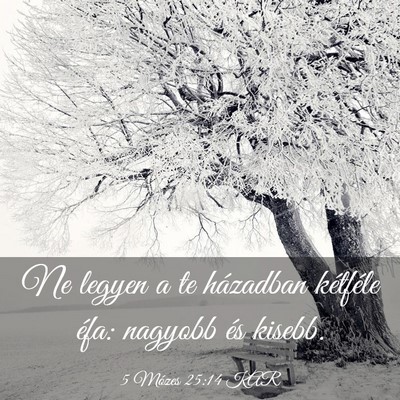 Picture 03 - 5 Mózes 25:14 KAR - Ne legyen a te házadban kétféle éfa: nagyobb - Bible Verse Picture