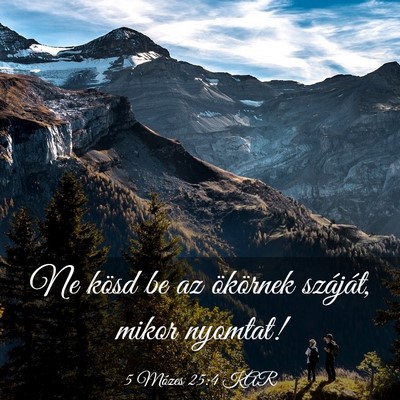 Picture 03 - 5 Mózes 25:4 KAR - Ne kösd be az ökörnek száját, mikor - Bible Verse Picture