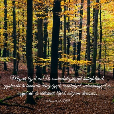 Picture 03 - 5 Mózes 28:22 KAR - Megver téged az Úr szárazbetegséggel - Bible Verse Picture