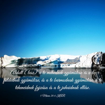 Picture 03 - 5 Mózes 28:4 KAR - Áldott [lesz] a te méhednek gyümölcse és a - Bible Verse Picture