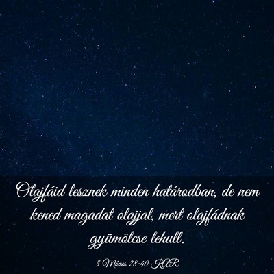 Picture 03 - 5 Mózes 28:40 KAR - Olajfáid lesznek minden határodban, de nem - Bible Verse Picture