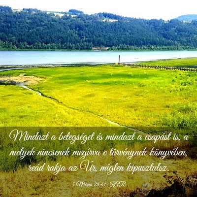 Picture 03 - 5 Mózes 28:61 KAR - Mindazt a betegséget és mindazt a csapást is, - Bible Verse Picture