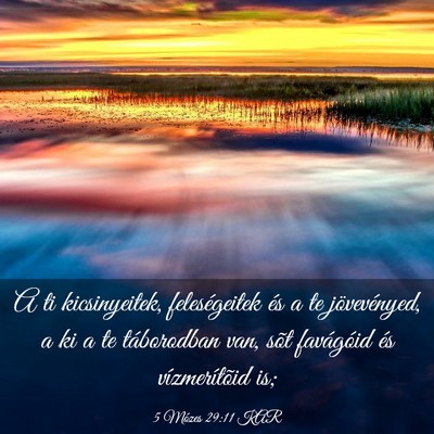 Picture 03 - 5 Mózes 29:11 KAR - A ti kicsinyeitek, feleségeitek és a te - Bible Verse Picture